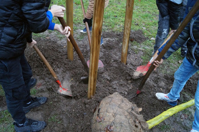 2019 12 19 aktueller Artikel Baumpflanzaktion Hebelschule 1